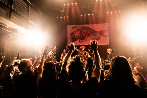 52276004156_a6f9ccce8b